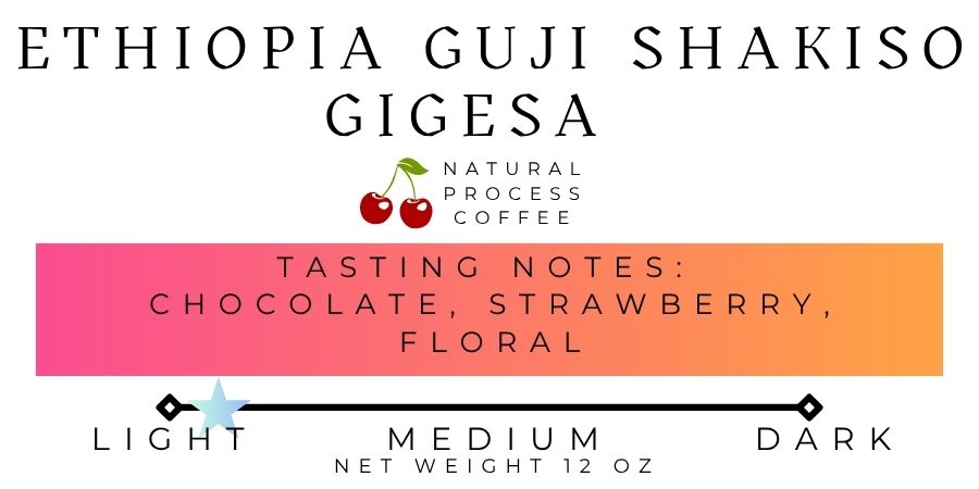 Ethiopia Gigesa Shakiso - Natural Process